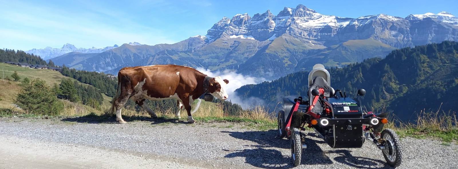 Déchaînez l'aventure avec SWINCAR chez Rando e-motion !